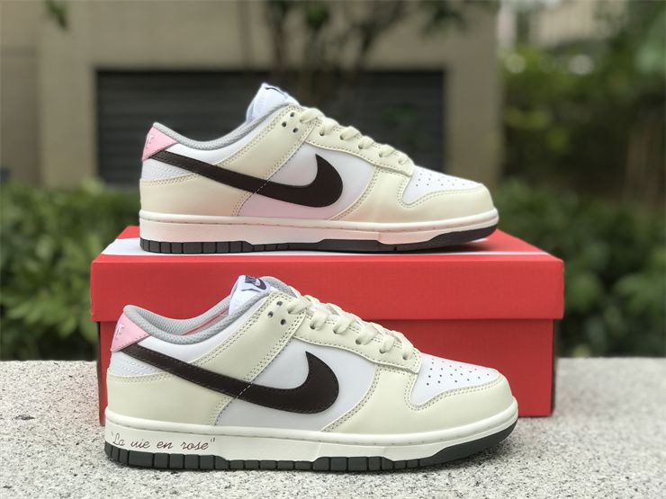 Nike Dunk Low Light Smoke Grey DD1503-117