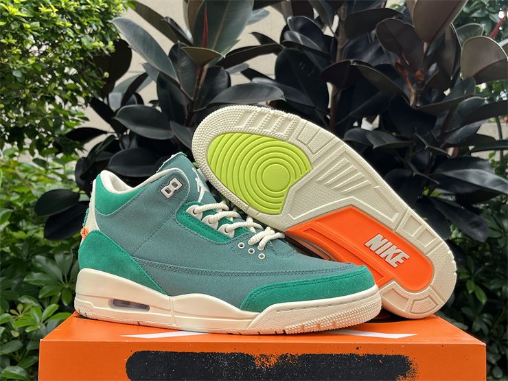 Nina Chanel Abney x Air Jordan 3 Bicoastal Sneakers FZ7974-300