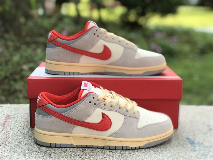 Nike Dunk Low Athletic Department FJ5429-133