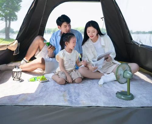 Melhores Barracas para Camping  Barraca de Camping Automática  Barraca de Montagem Fácil Barraca para 4 Pessoas Barraca de Trilha Leve e Compacta