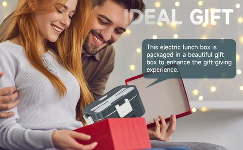 Electric Lunch Box Food Heater 3 in 1 Ultra Quick Heated Lu