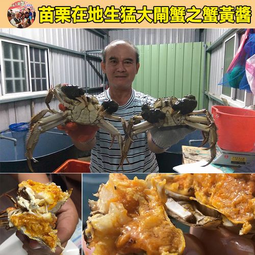 正宗  台灣苗栗大閘蟹  蟹黃醬   純手工熬制   蟹肉飽滿  鮮香四溢  老公一口氣買了10罐