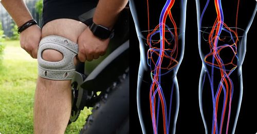 Sports Medicine  Knee Brace  1pcs adjustable breathable knee support bracket