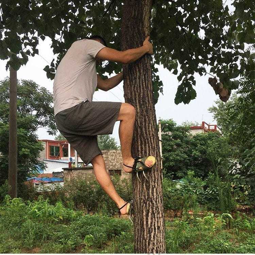 Manual Power Source Safe Tool Pole Climbing Equipment Tree Spikes for Picking Fruit Climbing Shoes