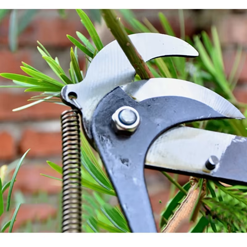 Fruit tree scissors garden pruning shears high branch scissors fruit picking shears high altitude scissors head pruning branch artifact