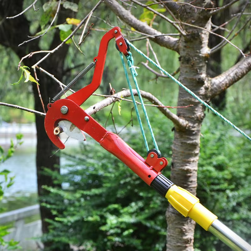 Fruit tree scissors garden pruning shears high branch scissors fruit picking shears high altitude scissors head pruning branch artifact