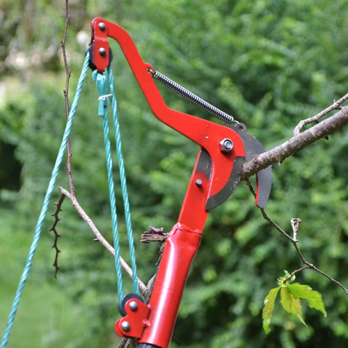 Fruit tree scissors garden pruning shears high branch scissors fruit picking shears high altitude scissors head pruning branch artifact