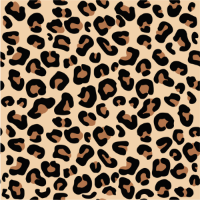 00013