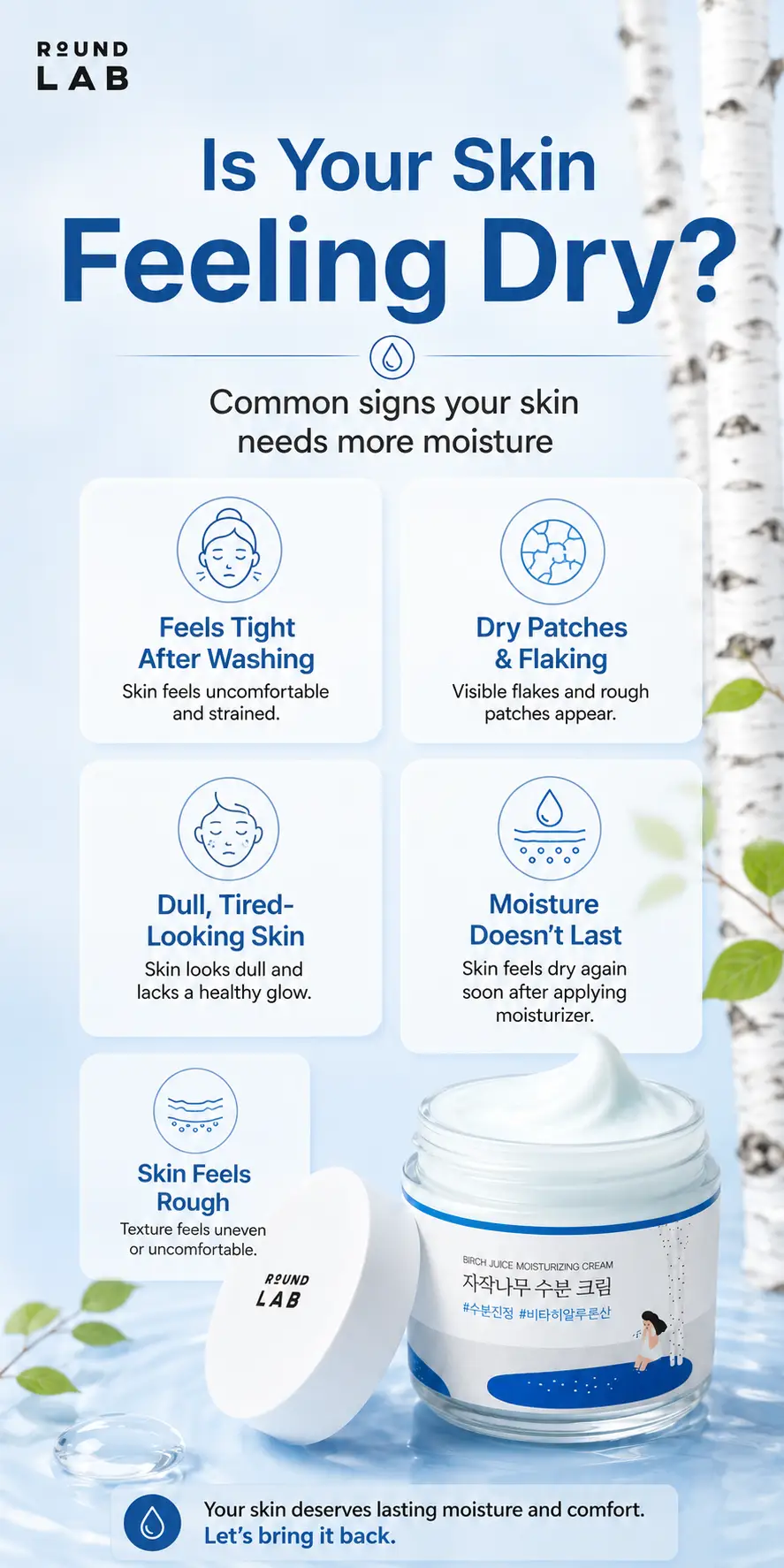 Round Lab Birch Juice Moisturizing Cream 80ml – Hydrating & Skin Barrier Care detail 1
